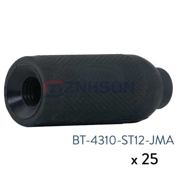 BT-4310-ST12-JMA-25 Preview