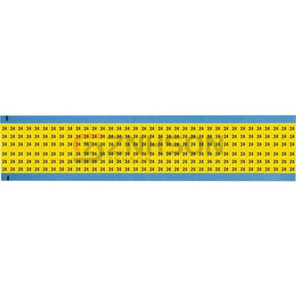 WM-24-YL-SC-PK Preview