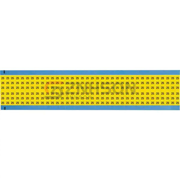 WM-25-YL-SC-PK Preview
