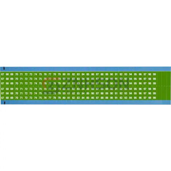 WM-67-99-GR-SC-PK Preview