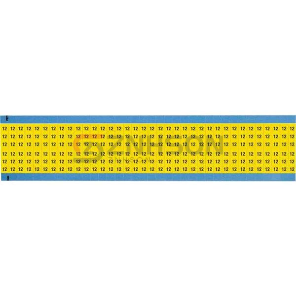 WM-12-YL-SC-PK Preview