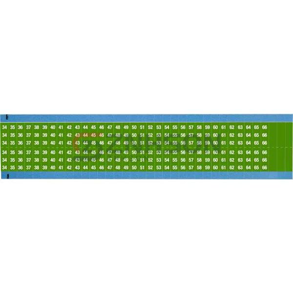 WM-34-66-GR-SC-PK Preview