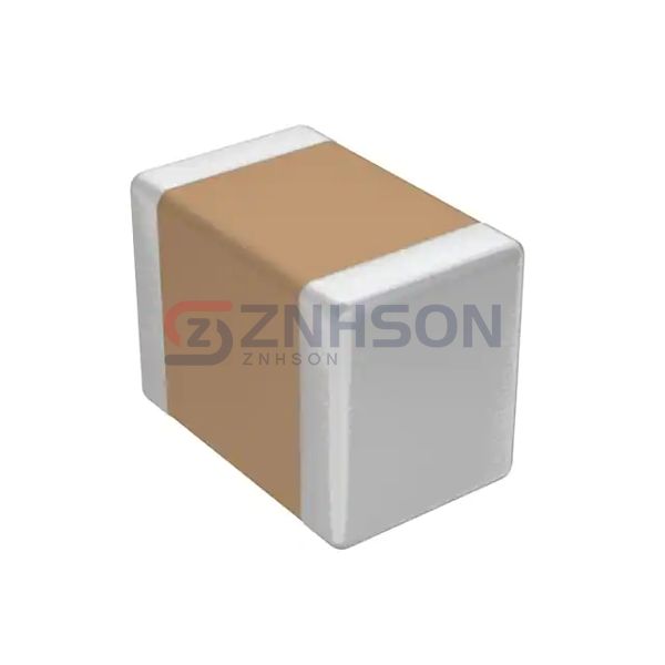 6R3R15X106KV4E Preview