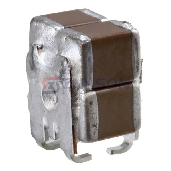 ST105C396MAK02 Preview