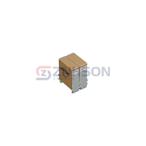 B58035U5205M052 Preview