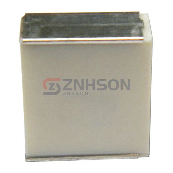 F161ZS104K630V Preview