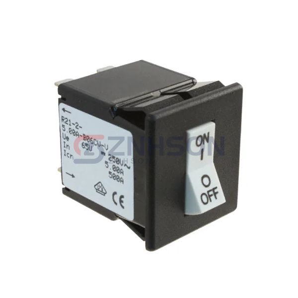 R21-2-30.0A-B06CV Preview