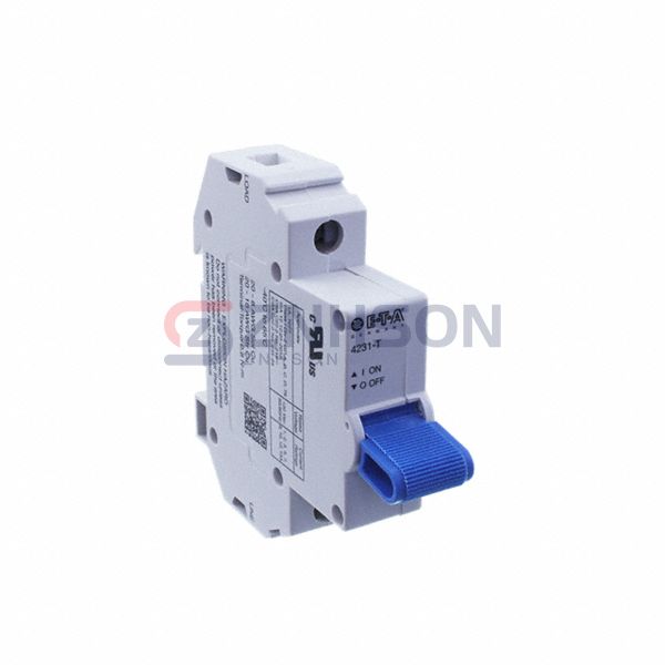 4231-T110-K0F2H-10A Preview