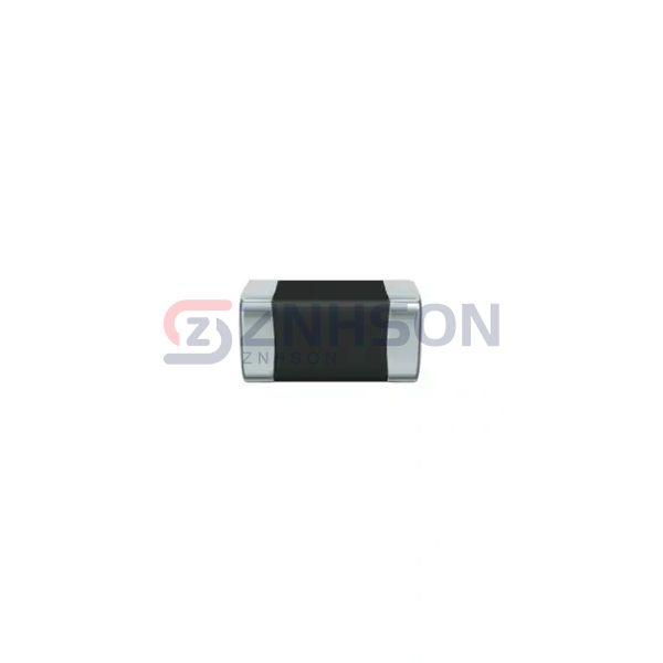 B72500E5250L060 Preview