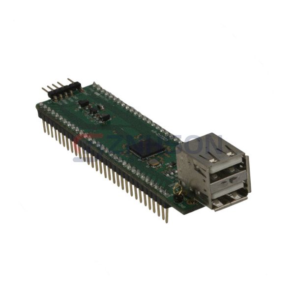 V2DIP2-64 Preview