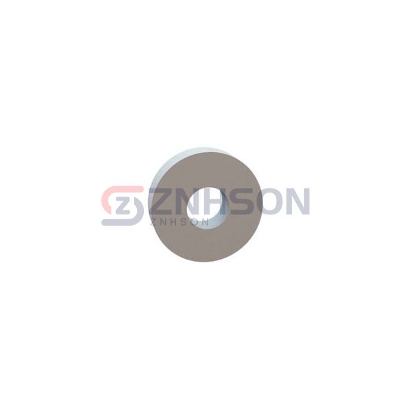 13RS100555 Preview