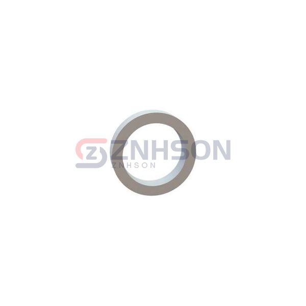 13RS100050 Preview