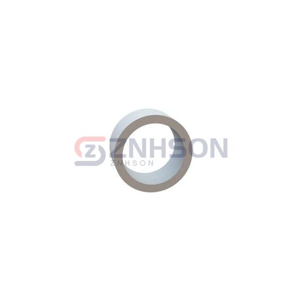 13RS100067 Preview