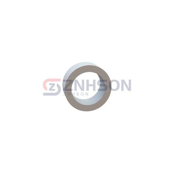 13RS125085 Preview