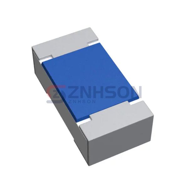 TNPU04021K00AYEP00 Preview