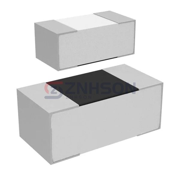 CPF0201D107RE1 Preview