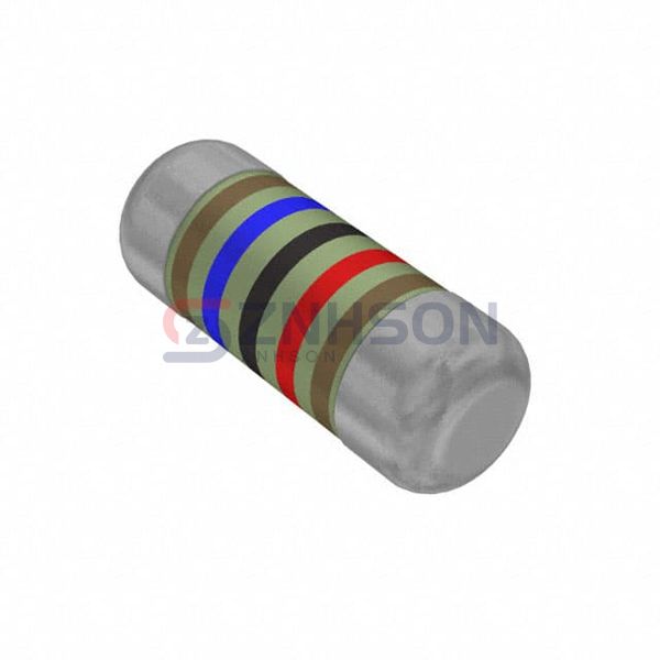 SMM02040C1602FB300 Preview