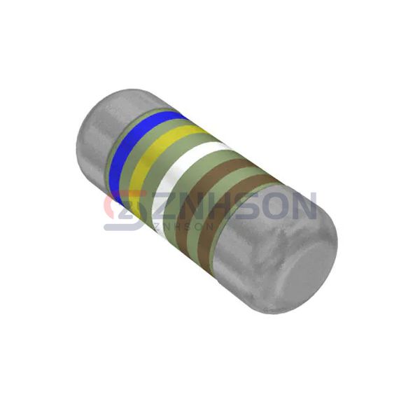 SMM02040C6491FB300 Preview