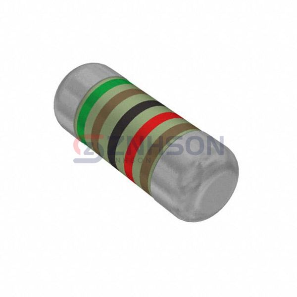 SMM02040C5102FB300 Preview