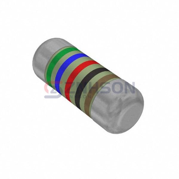 SMM02040C5620FB300 Preview