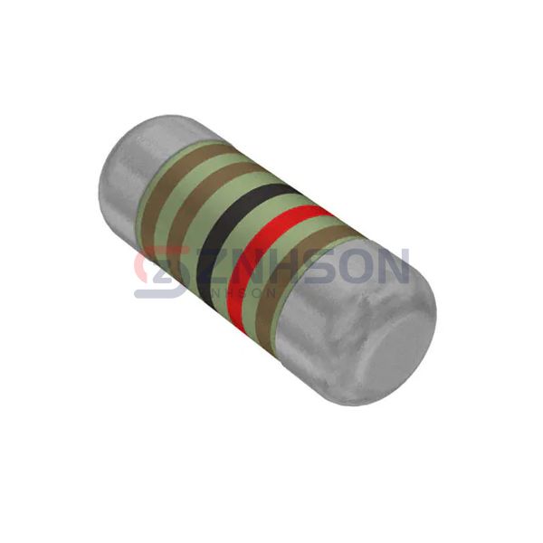 SMM02040C1102FB300 Preview