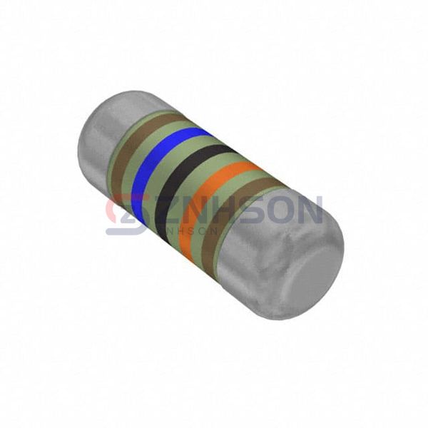 SMM02040C1603FB300 Preview