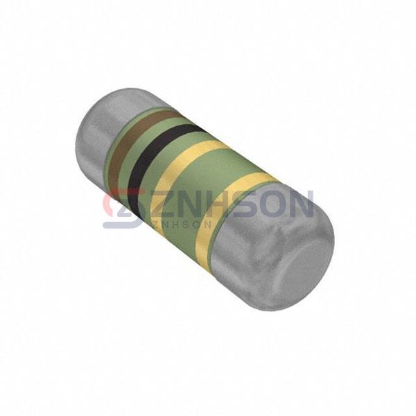 SMM02040B1008JB300 Preview