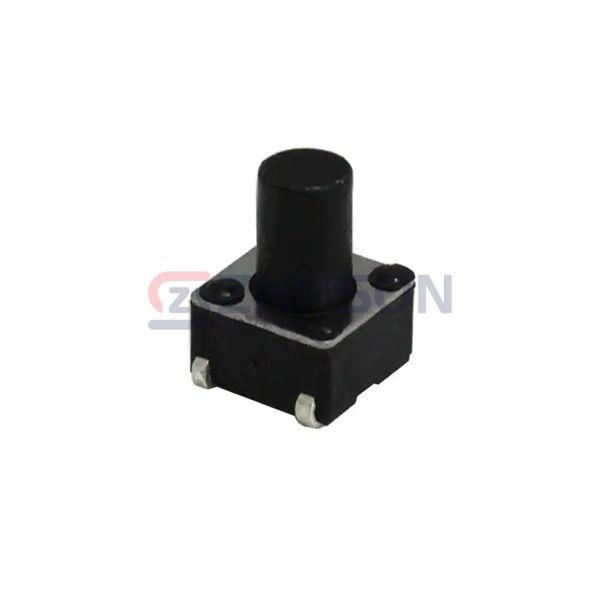 CS11028.5F100J Preview