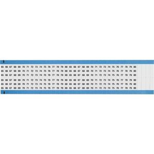 WM-65-80-DC-SC-PK