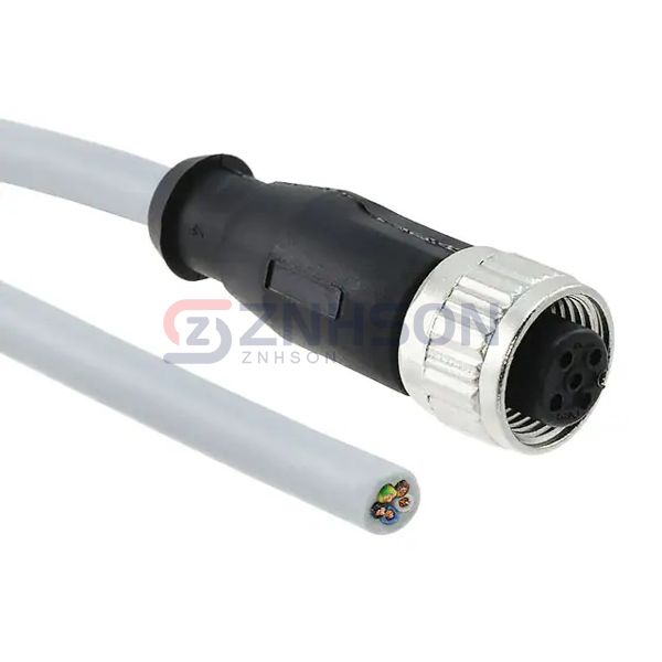 21348500585050 Preview