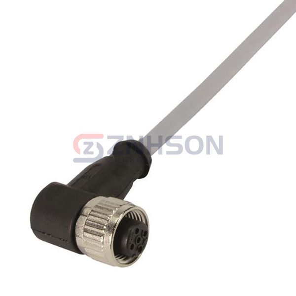 21348700585005 Preview