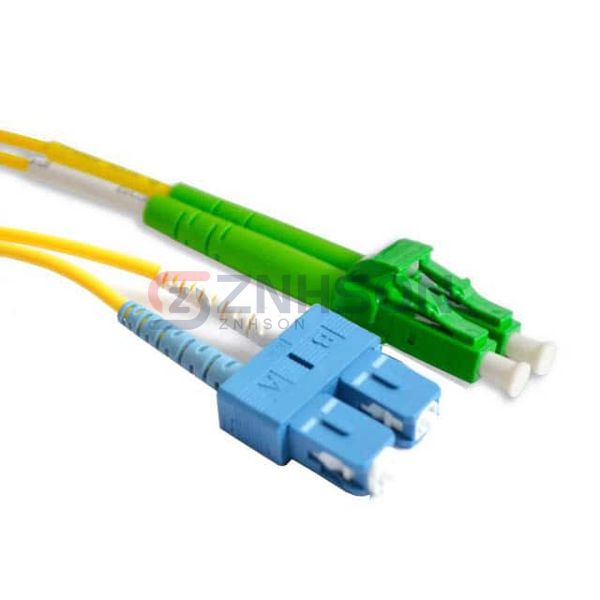 X9LAYUS1FISCU Preview