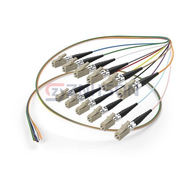 FJ5GLCX-01M-12FR-900 Preview