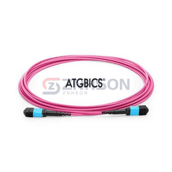 TCAB-12MPOFF-OM4-3M Preview