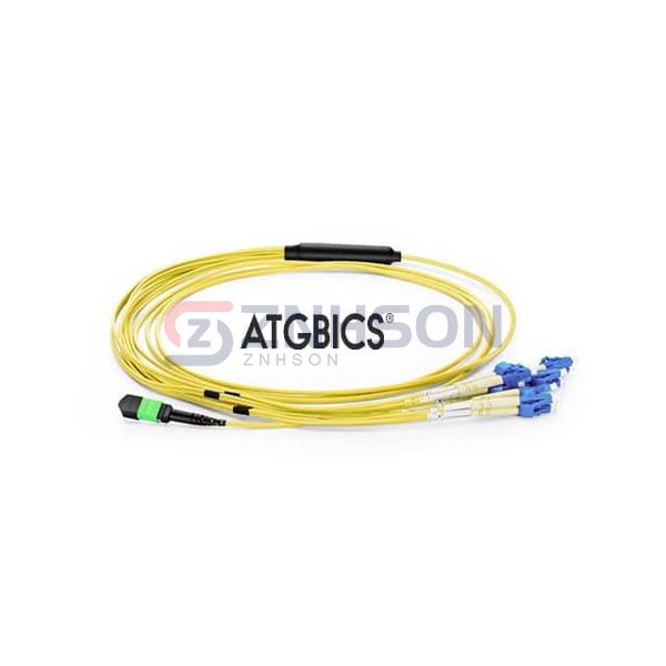 BOC-12MPOF-6LCOS2-5M Preview