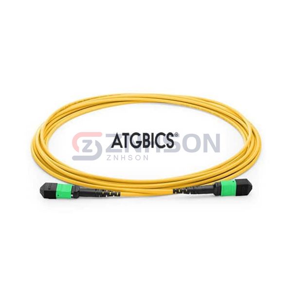 TCAB-24MTPFF-OS2-5M Preview