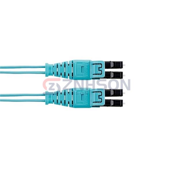 FZ2ERQ1Q1SNM029 Preview