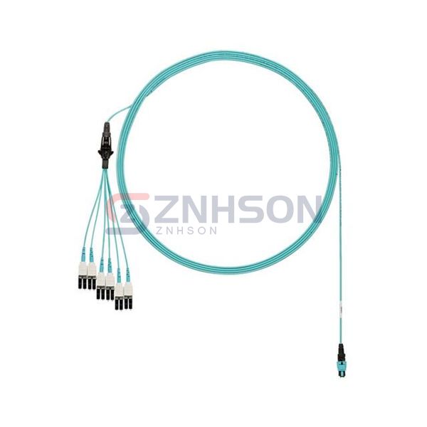 FXTRP8NUJSNF029 Preview