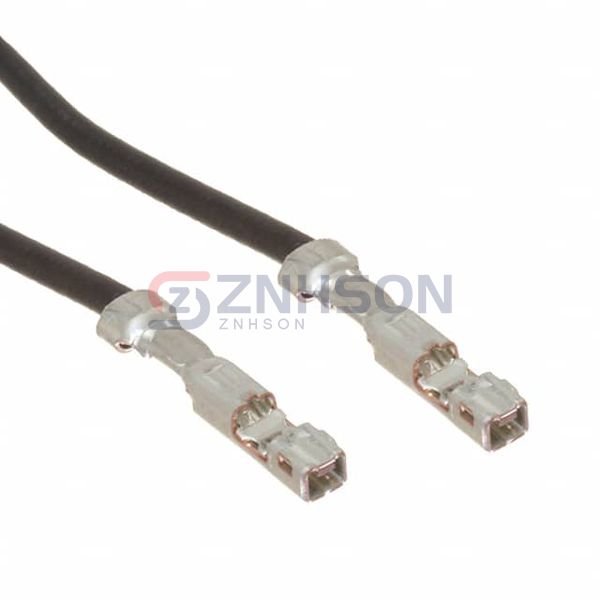 ASSFSSF22K102 Preview