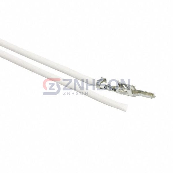 0039000040-10-W2 Preview