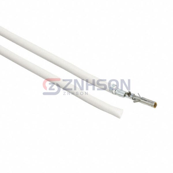 0039000181-06-W9 Preview