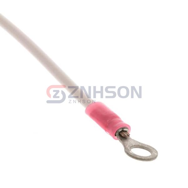 0190730019-10-W9-D Preview