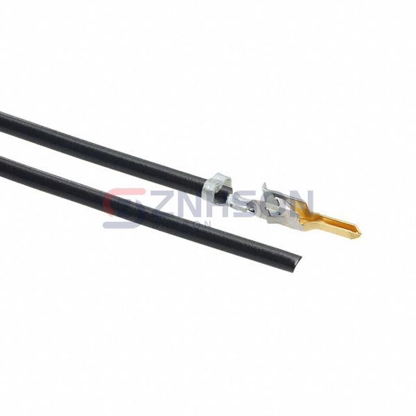 0039000219-11-B2 Preview