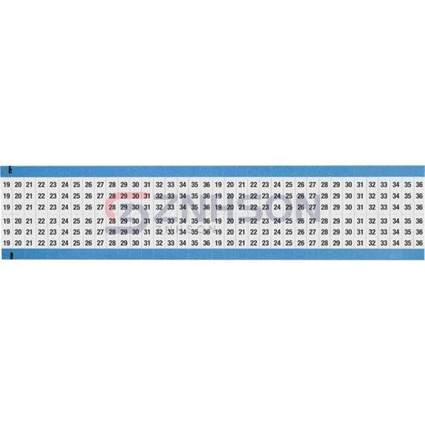 WM-19-36-SC-PK Preview