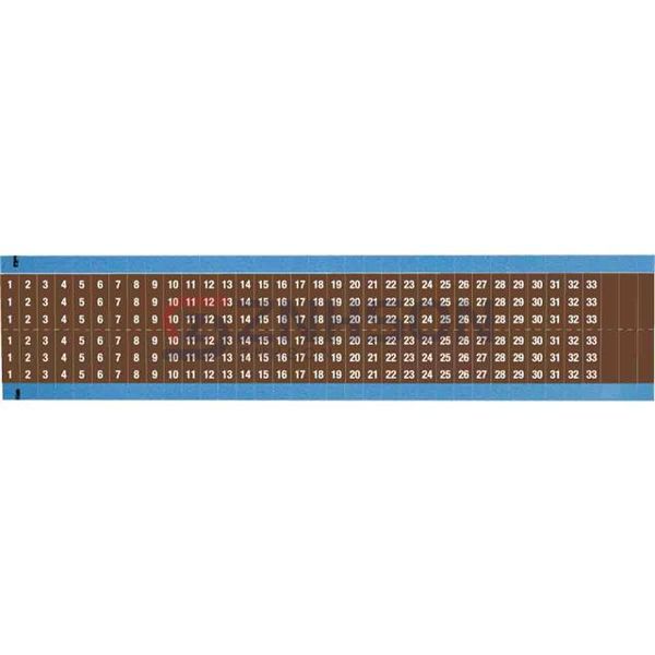 WM-1-33-BR-SC-PK Preview