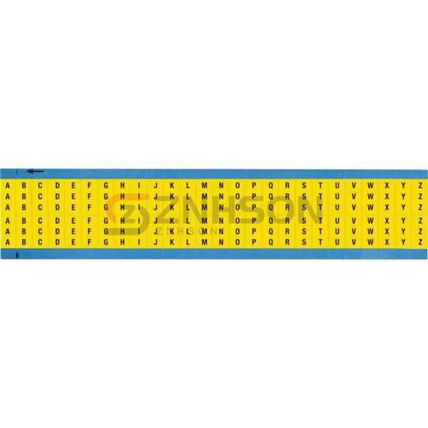 WM-A-Z-YL-SC-PK Preview