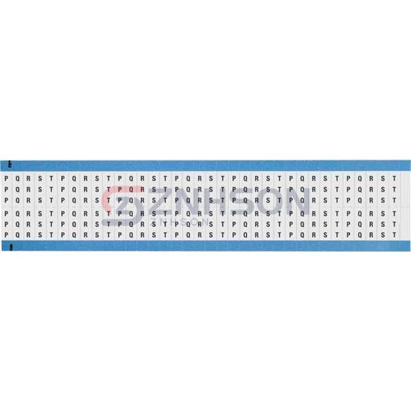 WM-P-T-SC-PK Preview