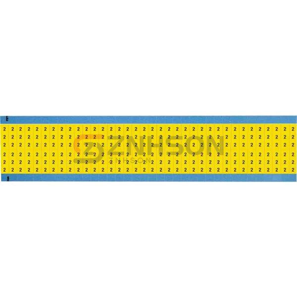 WM-2-YL-SC-PK Preview