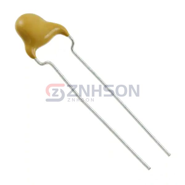VY2102M29Y5US6UV5 Preview