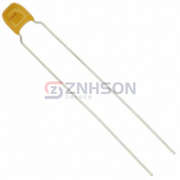 SK017C102KAR Preview
